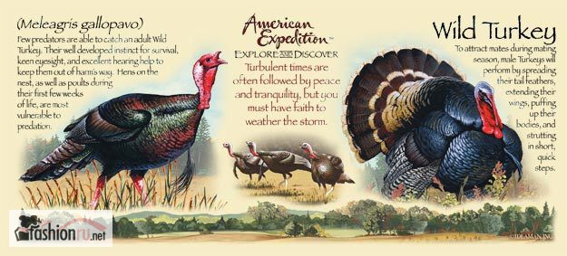 Фото 2. Кружка керамическая Wild Turkey (American Expedition)