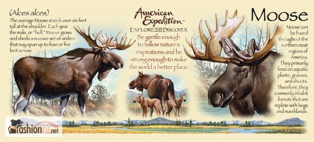 Фото 2. Кружка керамическая Bull Moose (American Expedition)