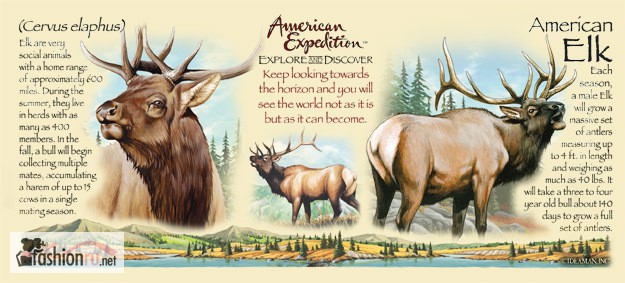 Фото 2. Кружка керамическая American Elk (American Expedition)
