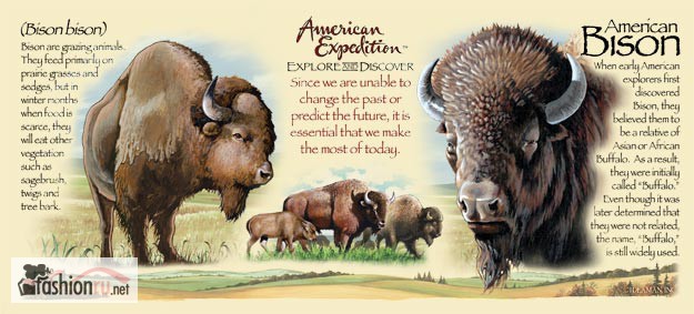 Фото 2. Кружка керамическая American Bison (American Expedition)