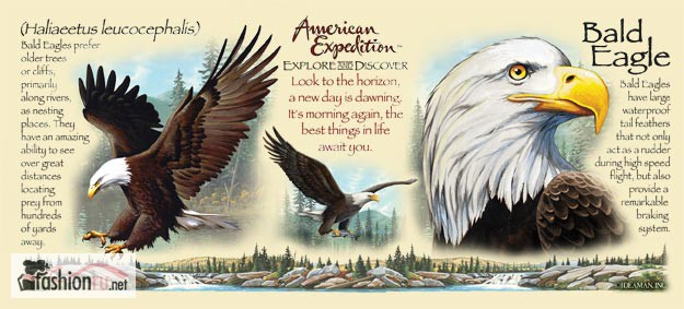 Фото 2. Кружка керамическая Bald Eagle American Expedition