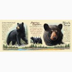 Кружка керамическая Black Bear American Expedition